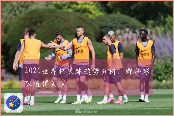 2026世界杯买球趋势分析，哪些球队值得关注
