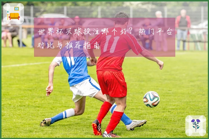 世界杯买球投注哪个好？热门平台对比与推荐指南