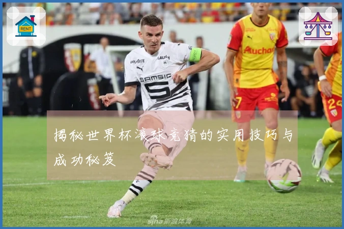 揭秘世界杯滚球竞猜的实用技巧与成功秘笈