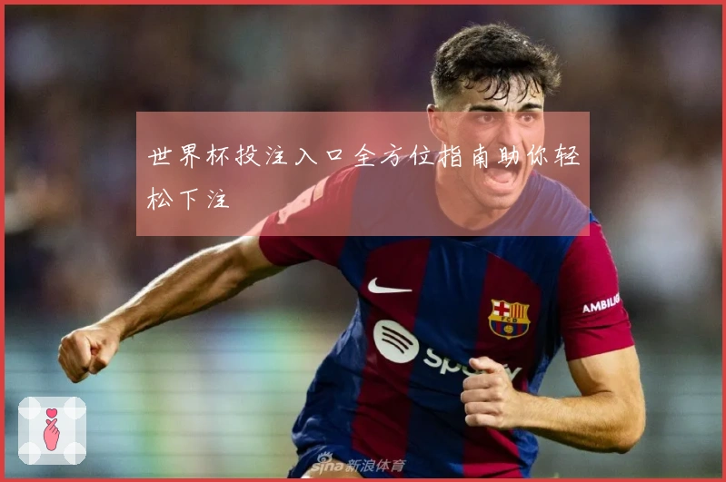世界杯投注入口全方位指南助你轻松下注